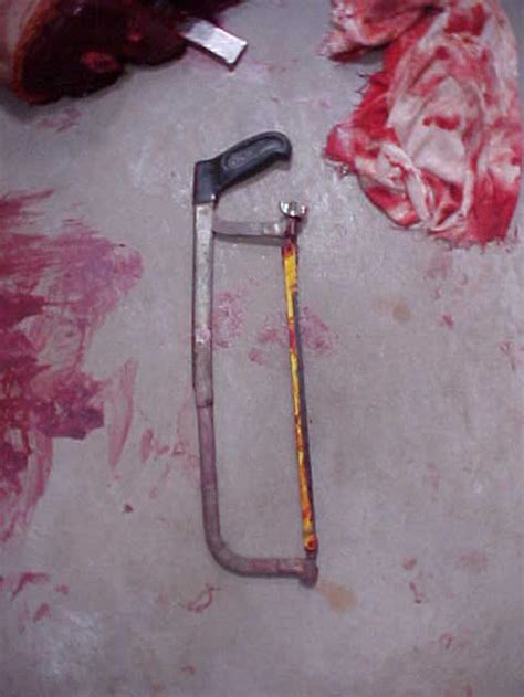  Petry became enraged after mutilating his victim's body, and he sawed Gabriel in half while still alive. Daniel Felipe Petry was a Brazilian teenage murderer who sexually abused and murdered his neighbor Gabriel Kuhn on July 23, 2007, in Santa Catarina, Brazil. Daniel petry and gabriel kuhl crime scene image; Daniel petry and gabriel kuhl crime ... 